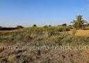 Terrain Etat A construire