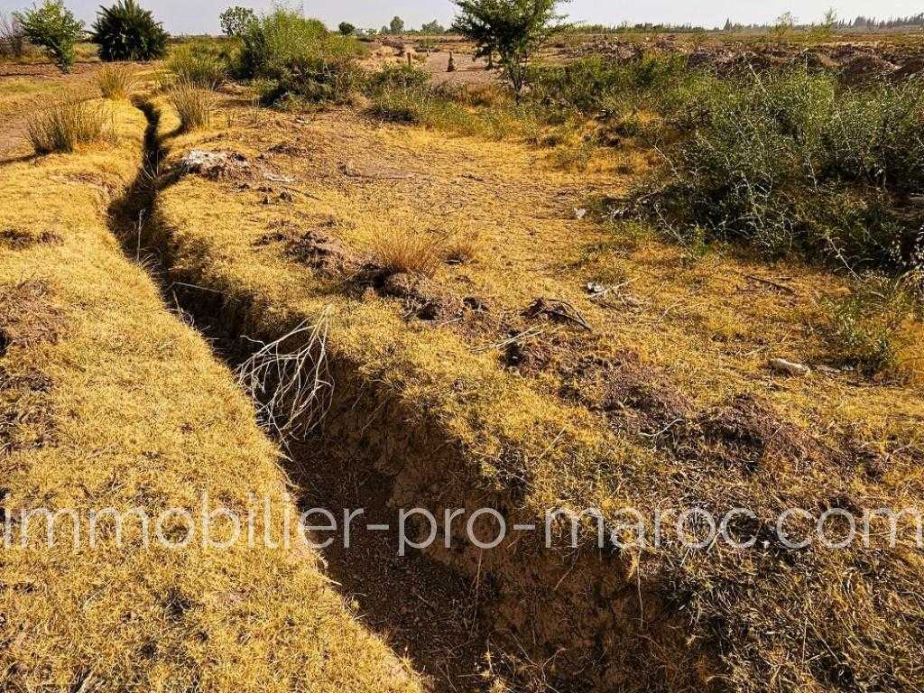 Terrain en Vente