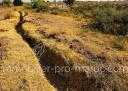 Terrain en Vente