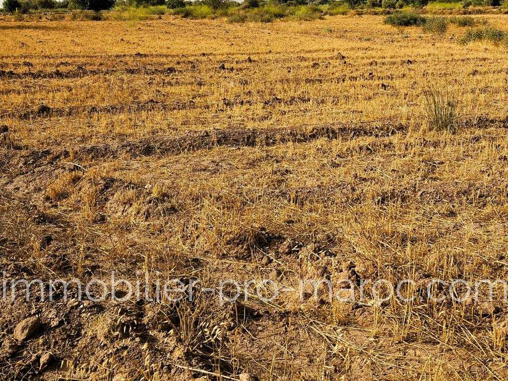 Terrain Surface du Terrain 18 910 m²