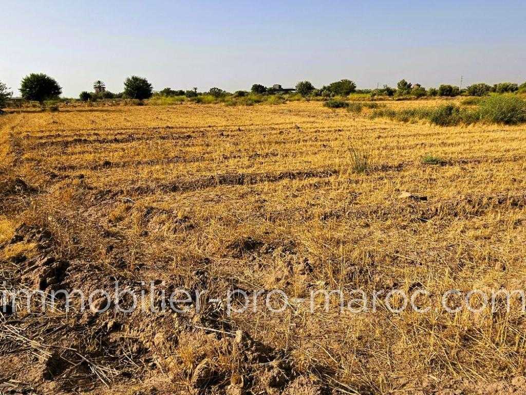 Terrain todo