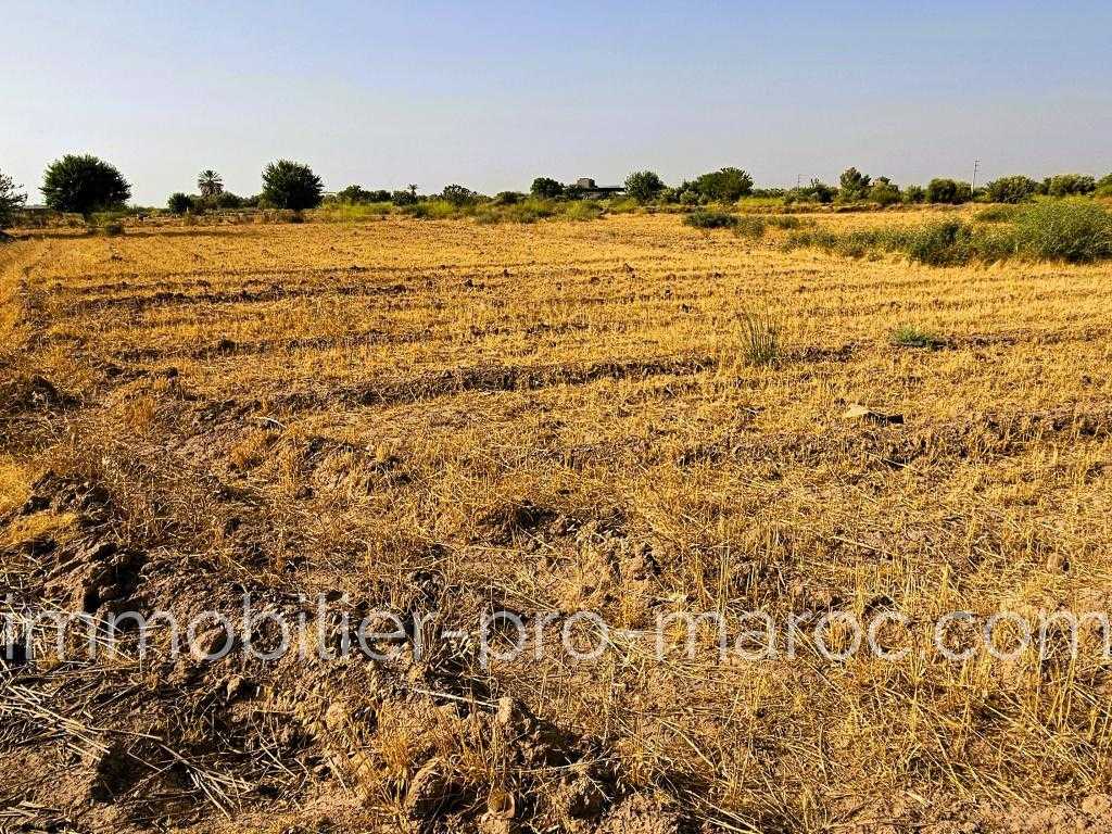 Terrain Etat A construire