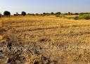 Terrain Etat A construire