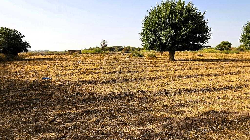 Terrain de 1h8 titre, a 20mn de la Medina  et 15mn des golfs