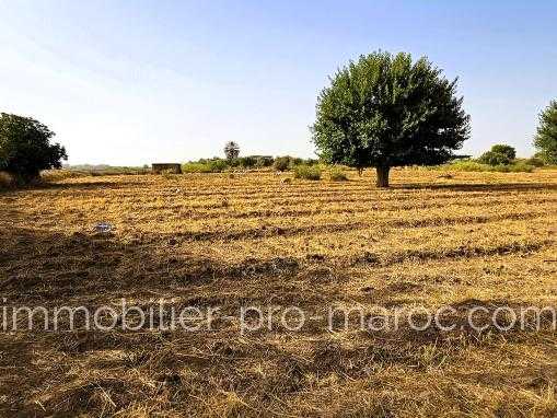 Vente Terrain