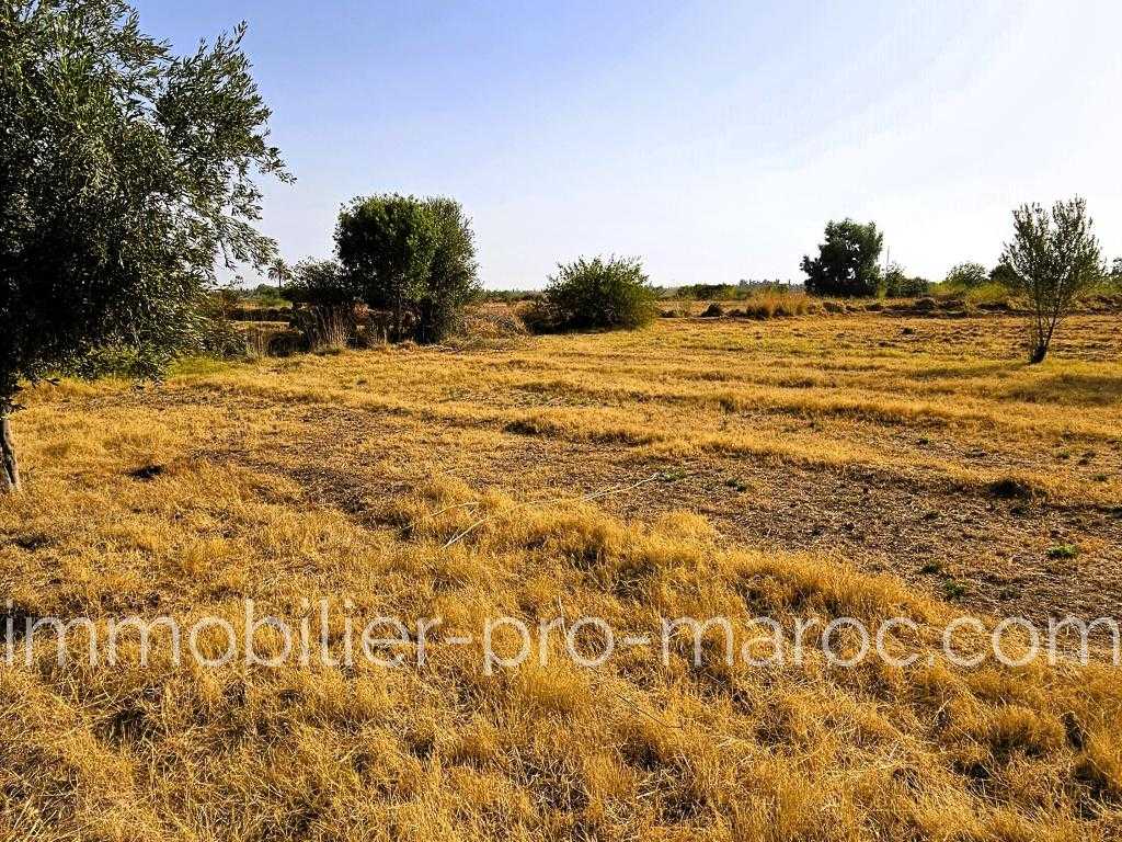 Terrain Quartier Campagne