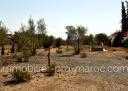 Villa Chambres 5