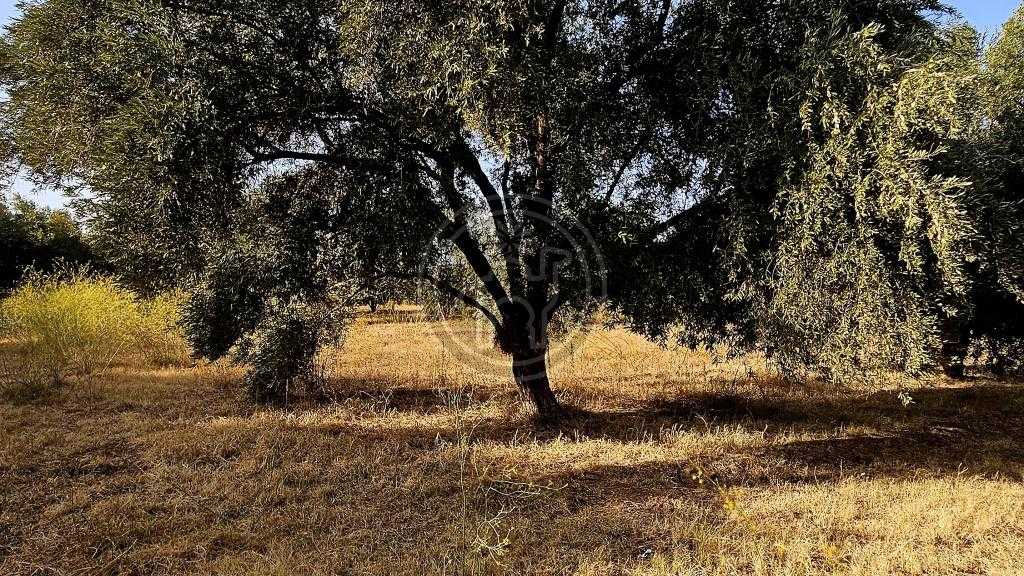 Terrain a vendre de 2H7 a 10mn du triangle des golfs.