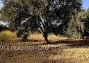 Terrain en Vente