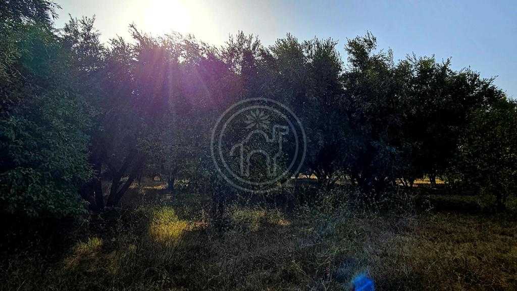 Terrain a vendre de 2H7 a 10mn du triangle des golfs.