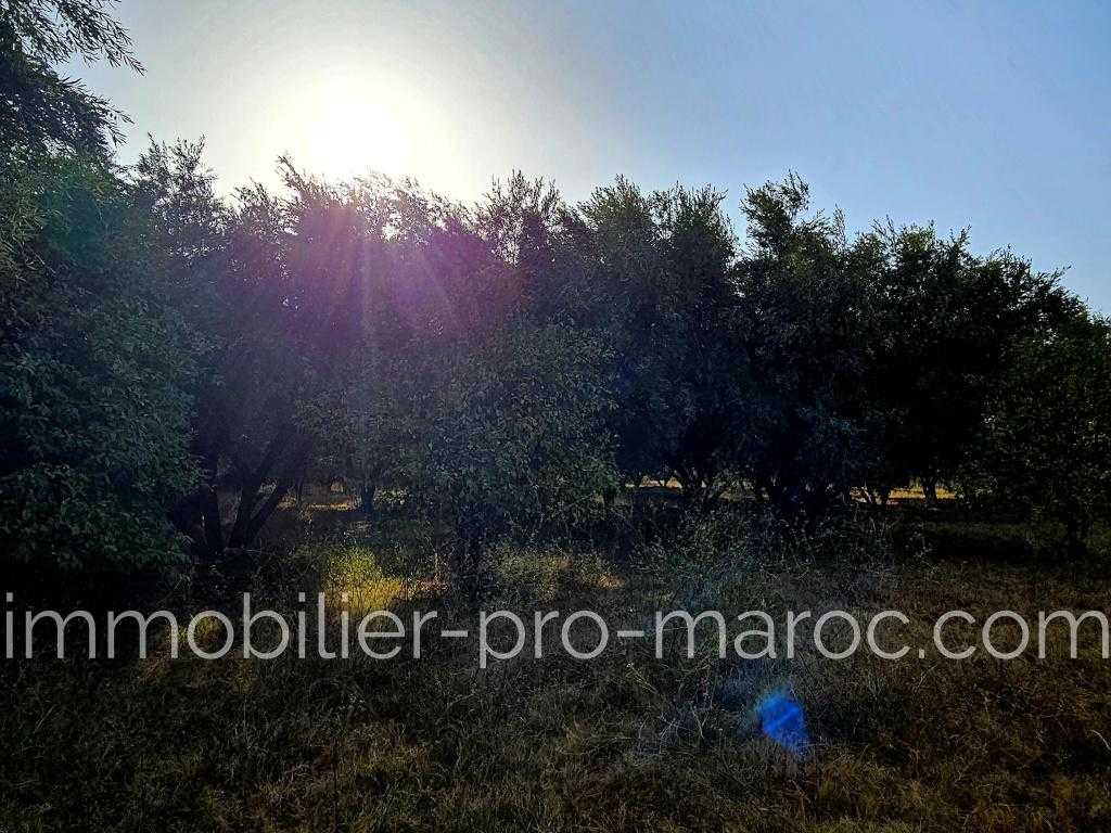 Terrain en Vente à Marrakech