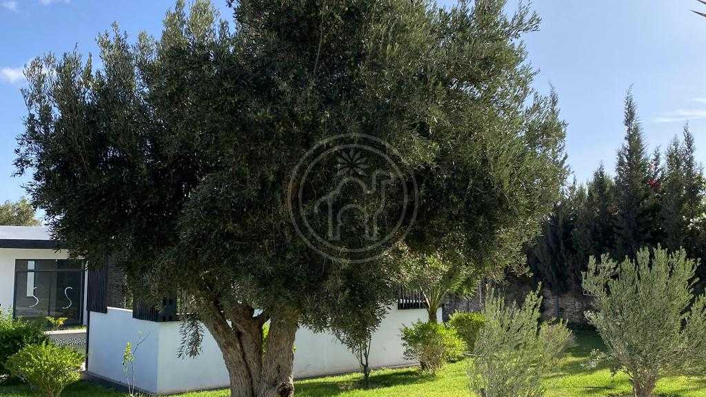 Superbe villa neuve de 3 chambres, piscine et jardin arboré ( sans AVNA)