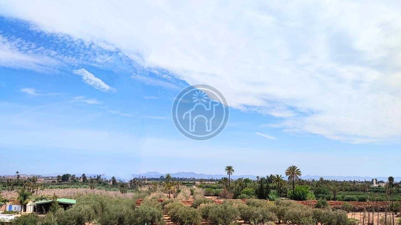 Appartement référence 7918