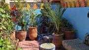 Riad en vente à Marrakech