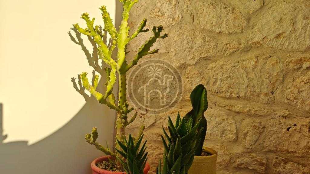 Propriété composée de 2 maisons à 2 niveaux chacune, pour un total de 7 chambres et 6 sdb.