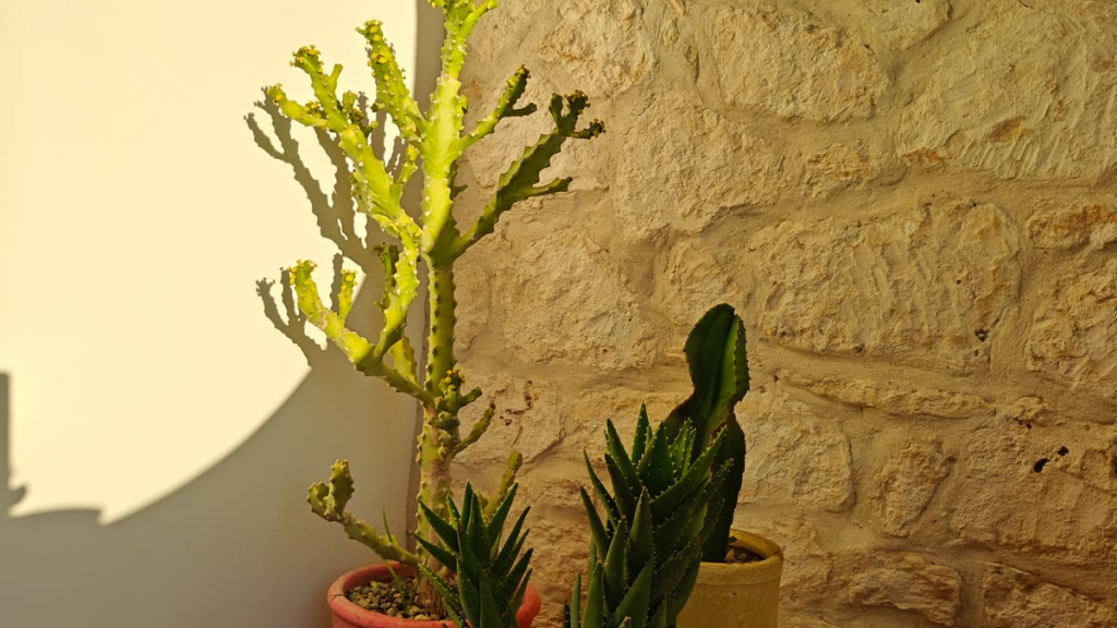 Propriété composée de 2 maisons à 2 niveaux chacune, pour un total de 7 chambres et 6 sdb.