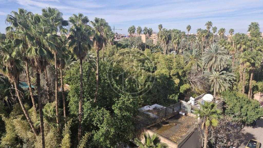 F2 unique face aux jardins Majorelle