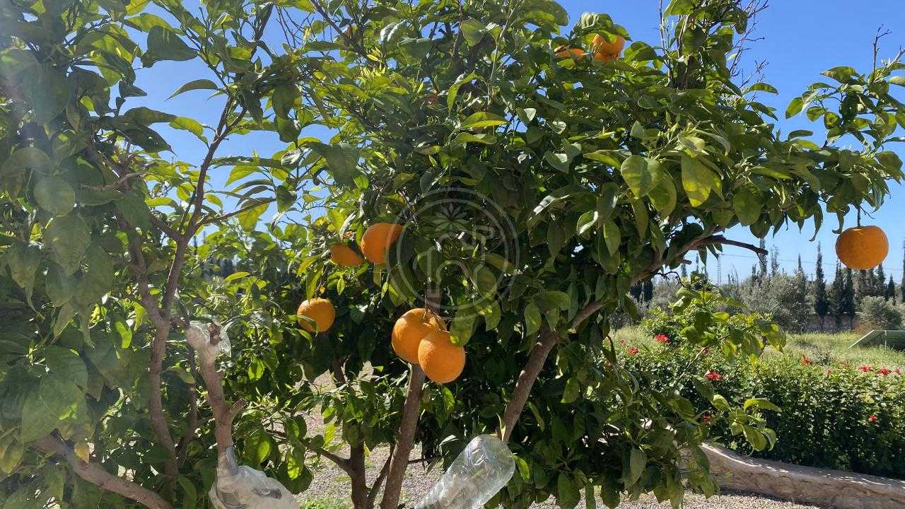 Villa en vente à Essaouira