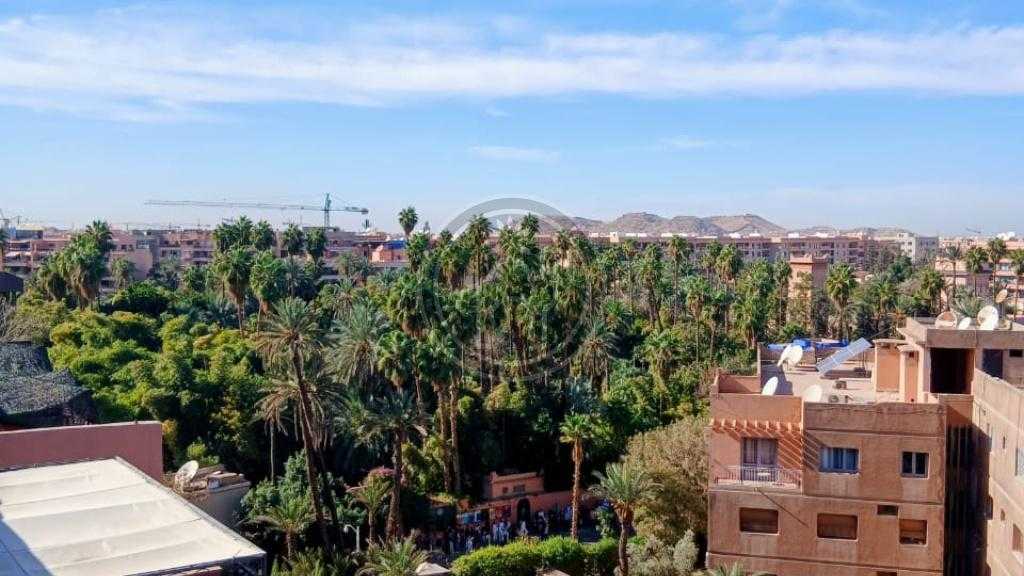 F3 vue jardins Majorelle 