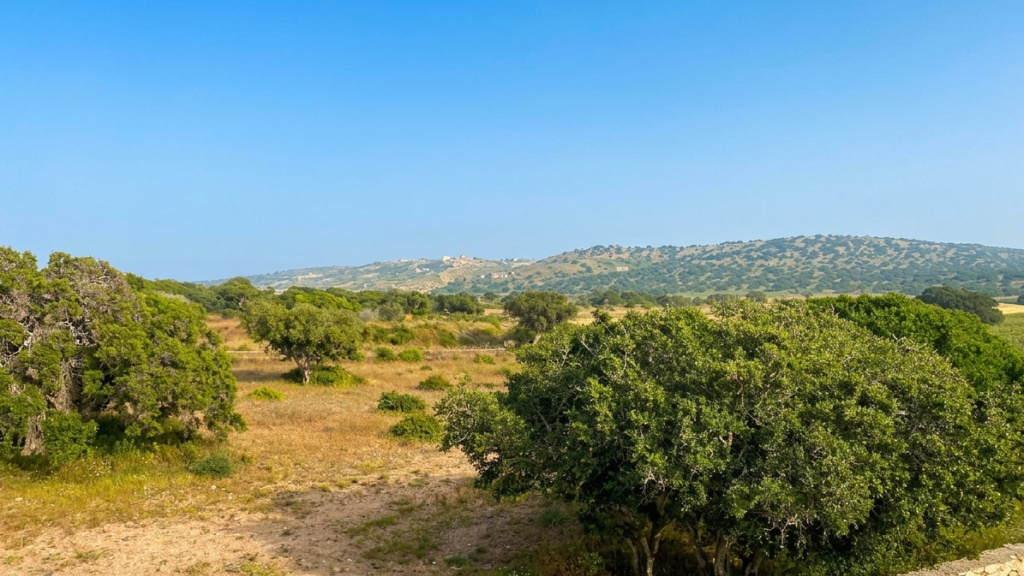 Villa Vue Mer avec Gîte Rural — Secteur Prisé & Proche Mer
