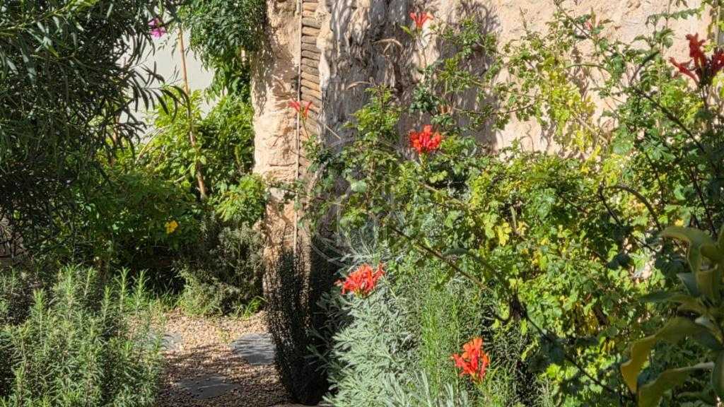 Maison typique, meublée, à seulement 8 kms d’Essaouira