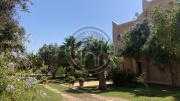 Villa de 600m²