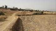 Terrain etat a construire