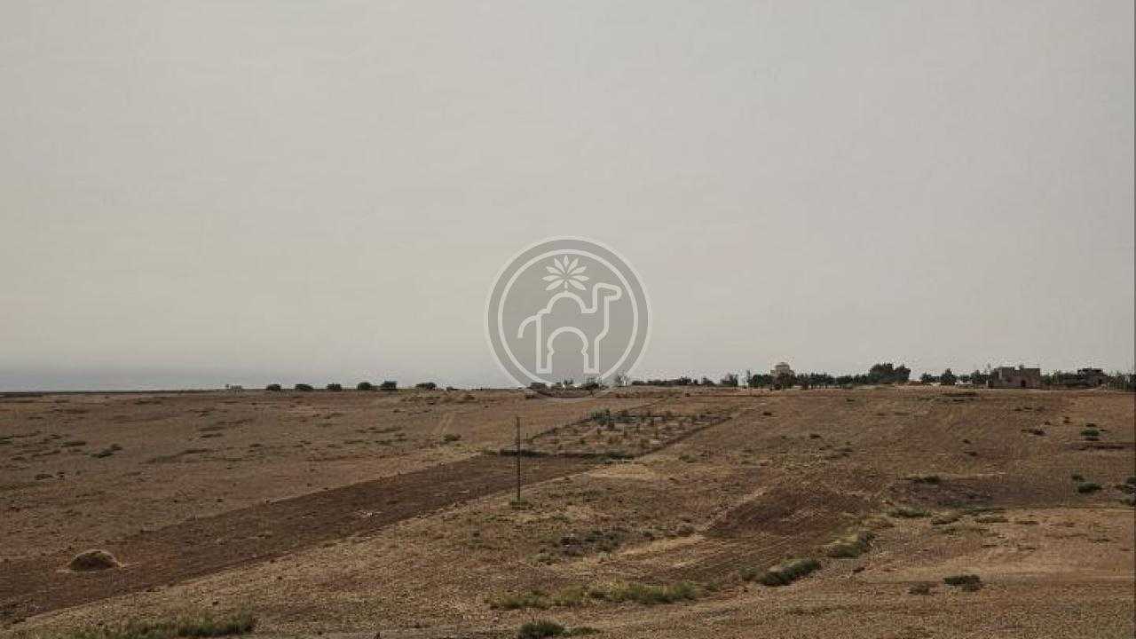 Terrain
