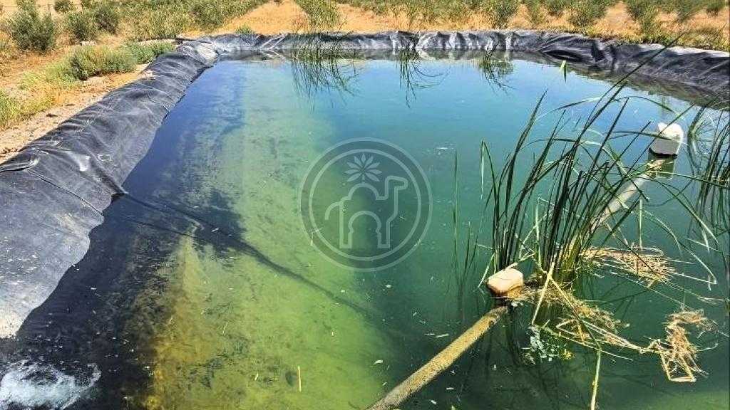 Ferme de 7H a 40mn de Marrakech, plantee, eau, electricite.