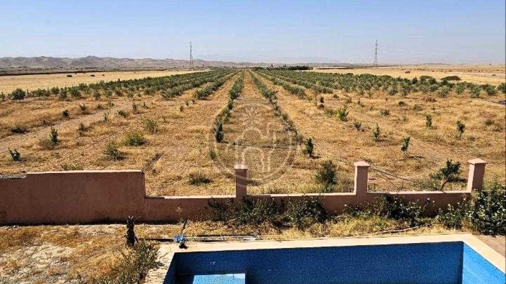 Ferme de 7H a 40mn de Marrakech, plantee, eau, electricite.