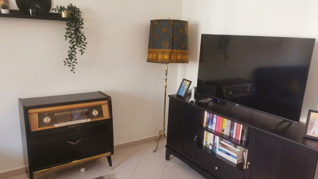 coquet appartement meublé dans un endroit calme