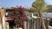 Villa en vente à Essaouira